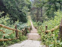 -青龙山国家森林公园