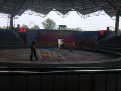 -石家庄市动物园