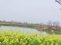 -武汉紫薇都市田园