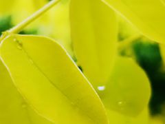 -天津东丽湖风景区