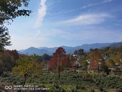 -塔川景区