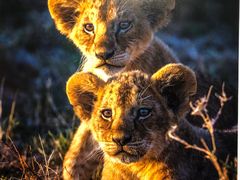 -罗红摄影艺术馆