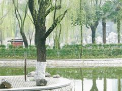 -西安市长乐公园
