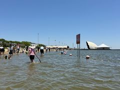 -碧海金沙