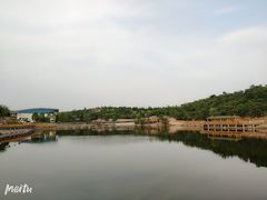 -中国西峡恐龙遗迹园