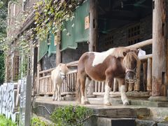 -巴倒烫陆派火锅山庄(南山总店)
