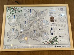 -Torch Coffee 炬点咖啡