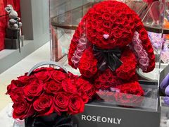 -ROSEONLY诺誓(磐基中心店)