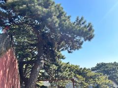 -妙峰山风景名胜区