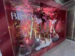 -深圳米兰柏羽医疗美容医院