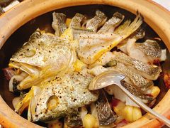-人间采蜜(海信广场店)