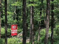 -鲁山国家森林公园