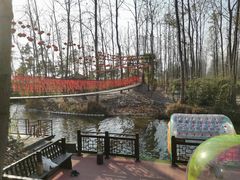 -合肥滨湖国家森林公园