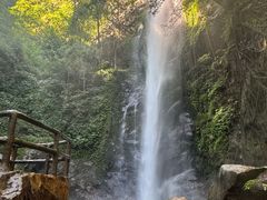 -莫里热带雨林景区