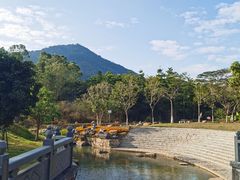 -黄埔油麻山森林公园