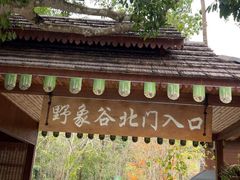 -野象谷景区
