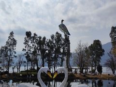-西昌邛海湿地