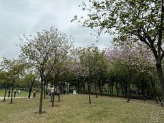 -海珠儿童公园