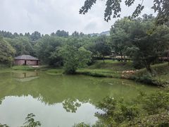 -合肥野生动物园