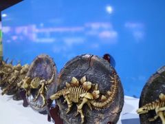 -世界恐龙谷景区