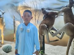 -西霞口神雕山野生动物世界