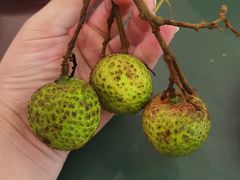 -潇湘·永州会馆(百子湾店)