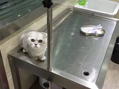 -暖阳宠物医院·犬猫康复中心·骨科