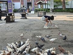 -西湖游船