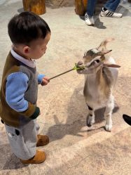 -酷嗒动物文化乐园(cutezoo西溪乐天城店)