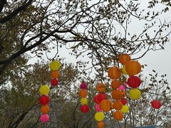 -北京十三陵国家森林公园蟒山景区