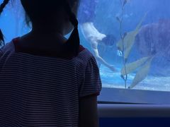 -常州海昌海洋探索馆