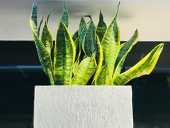 -安吉汽车生活馆(大宁中心广场C3栋店)