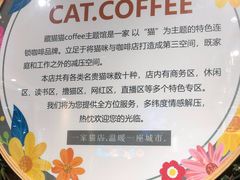 -藏猫猫咖啡主题馆(中央大道店)