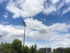 -大连体育中心体育馆