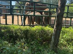 -秦皇岛野生动物园