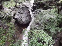 -神农山景区