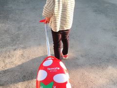 -学知乐教育·幼小衔接·小学科辅导(浦东外高桥森兰中心)