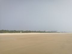 -日照海滨国家森林公园