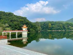 -广州市白云山风景名胜区