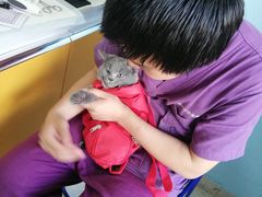 -瑞派福兴宠物医院犬猫全科·骨科·中西医结合(河东店)