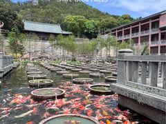-石峰岩寺