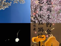 -运动派(北京店)