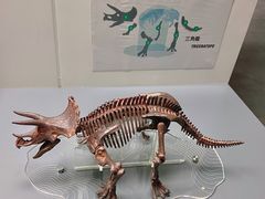 -香港科学馆