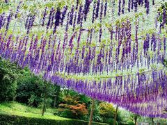 景点-上海欢乐谷