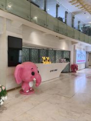 点击看大图 -石家庄苏亚美联臣医疗美容医院