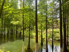 -捞渔河湿地公园