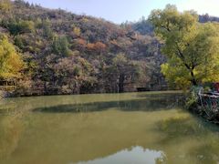 -双新垂钓园