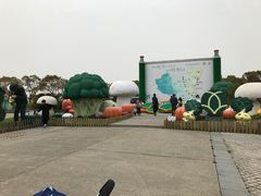 -上海都市菜园