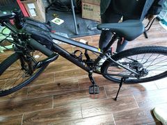 -道路口单车爱瓦士dahon大行