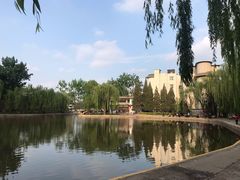 -团结湖公园